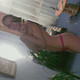 Lena, 39 (2 , 0 )